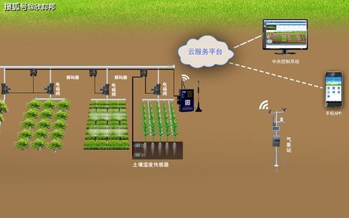 草莓移動(dòng)式栽培裝置 智能農(nóng)業(yè)的創(chuàng)新實(shí)踐
