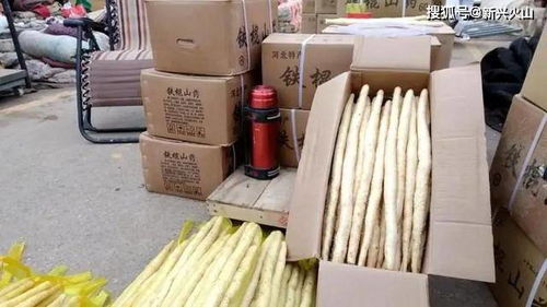 誰是食品安全的潛規則贏家？探究山藥漂白背后的人與鏈條